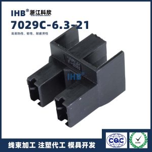 7029C-6.3-21