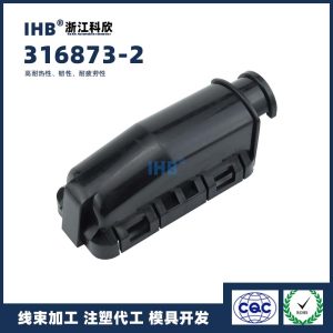 316873-2