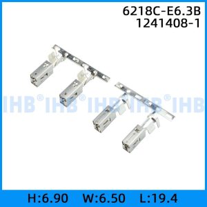 6218C-E6.3B