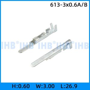613-3x0.6A/B