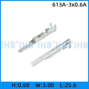613A-3x0.6A