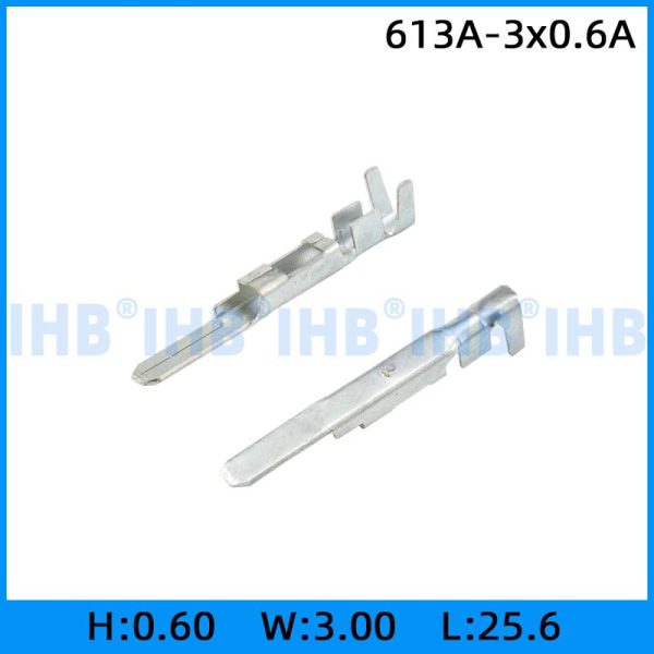613A-3x0.6A