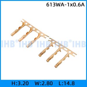 613WA-1x0.6A