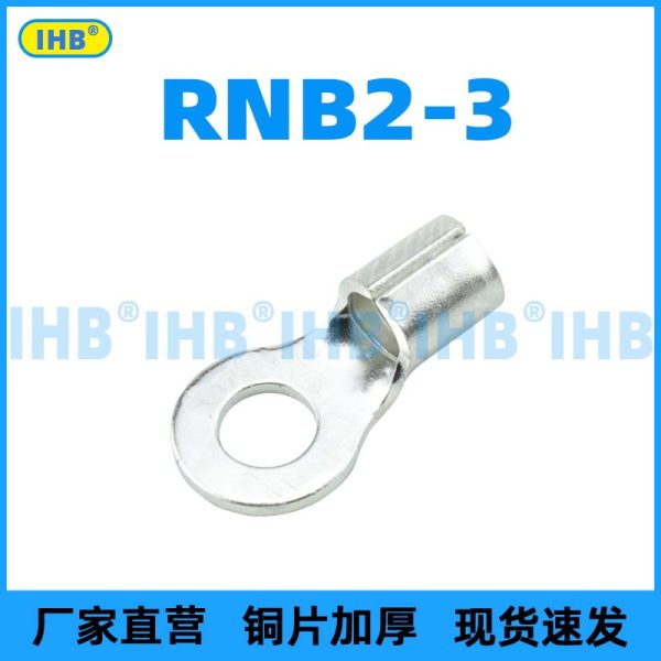 RNB2-3