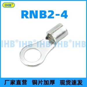 RNB2-4