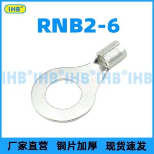 RNB2-6