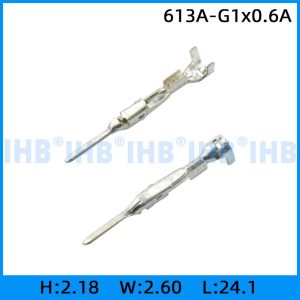 613A-G1x0.6A