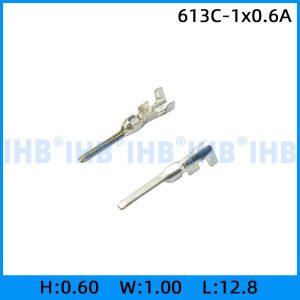 613C-1x0.6A