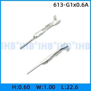 613-G1x0.6A