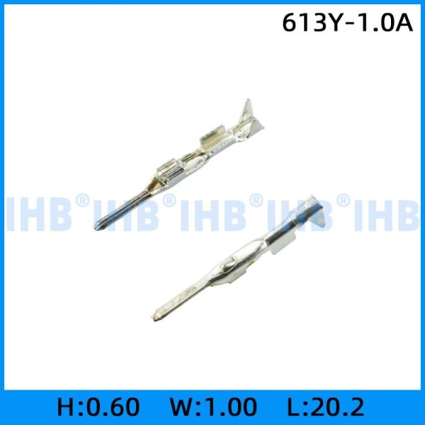 613Y-1.0A