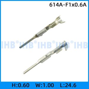 614A-F1x0.6A
