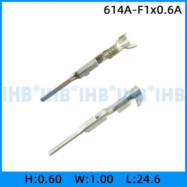 614A-F1x0.6A