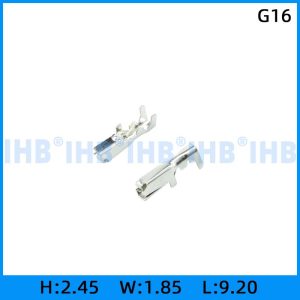 G16