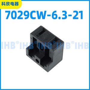 7029CW-6.3-21