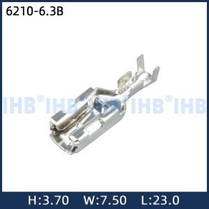 6210-6.3B