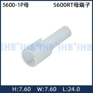 5600-1P母