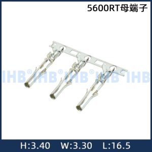 5600RT母端子
