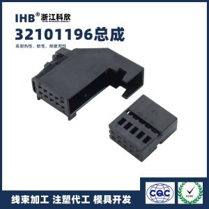 32101196