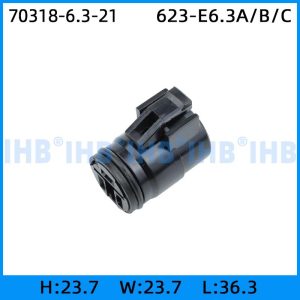 70318-6.3-21