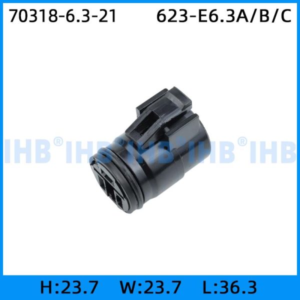 70318-6.3-21