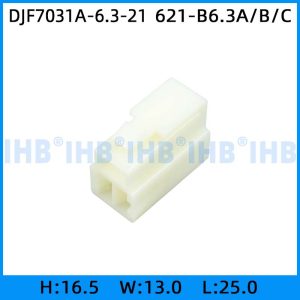 DJF7031A-6.3-21