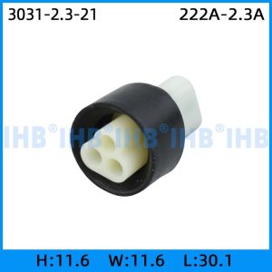 3031-2.3-21