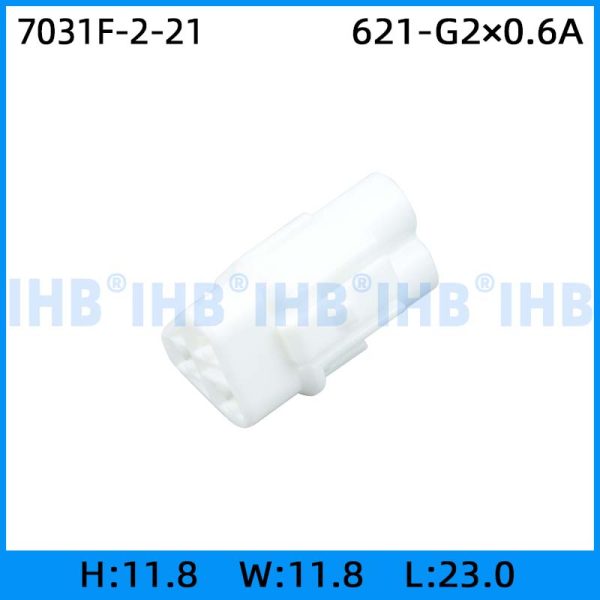 7031F-2-21