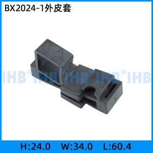 BX2024-1