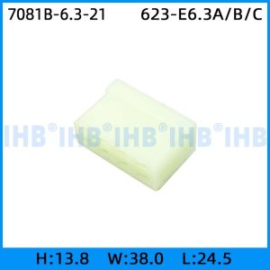 7081B-6.3-21