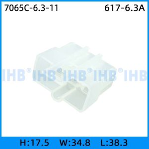 7065C-6.3-11