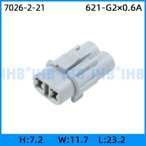 7026-2-21