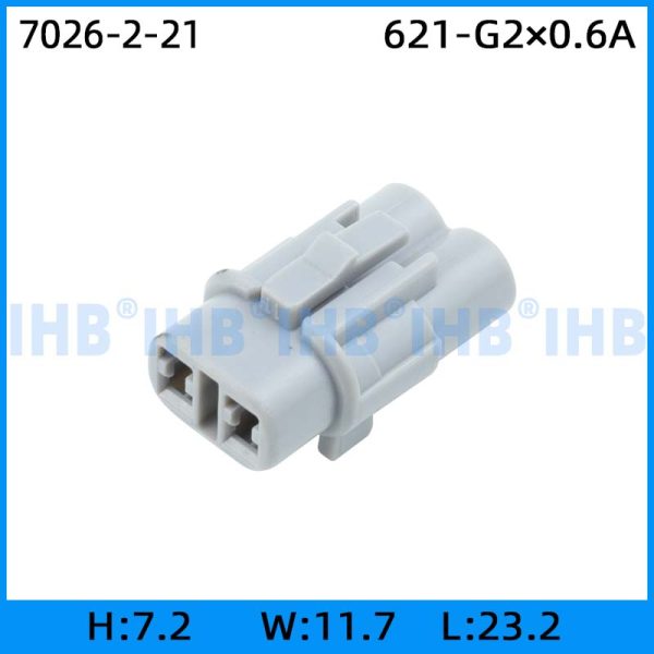 7026-2-21