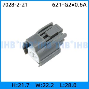 7028-2-21