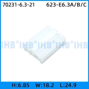 70231-6.3-21