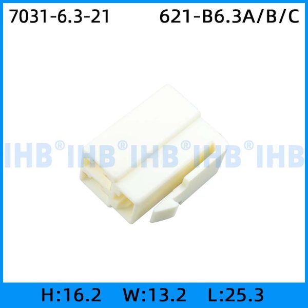 7031-6.3-21