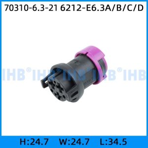 70310-6.3-21