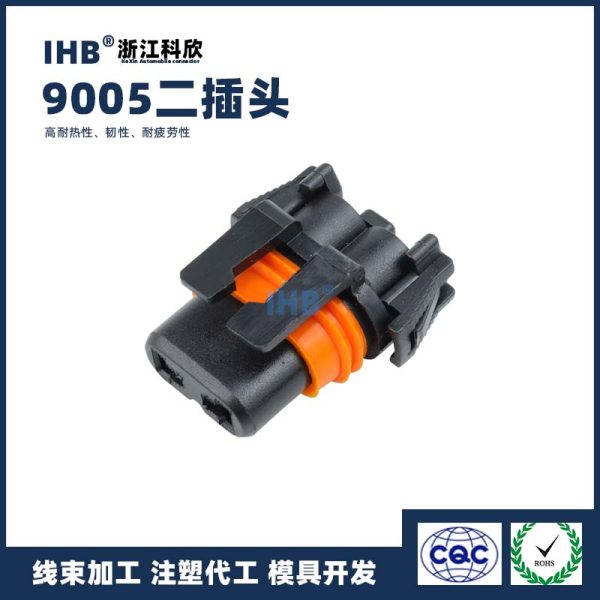 9005二插头