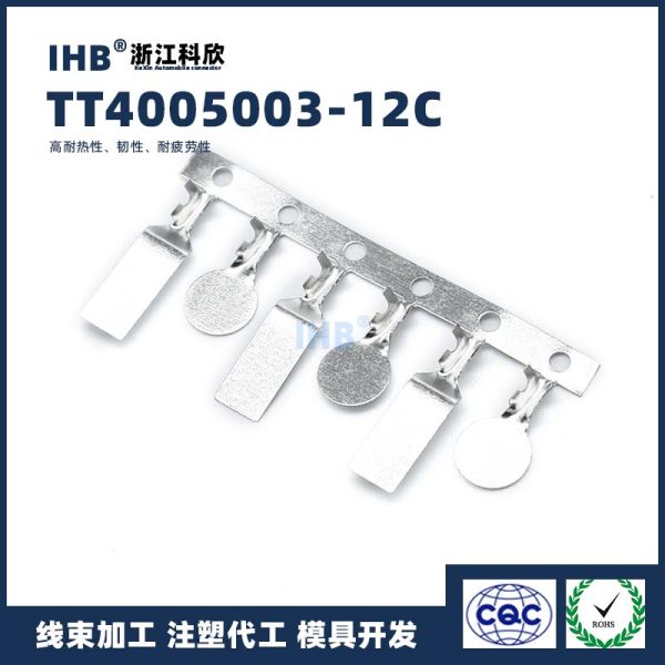 TT4005003-12C