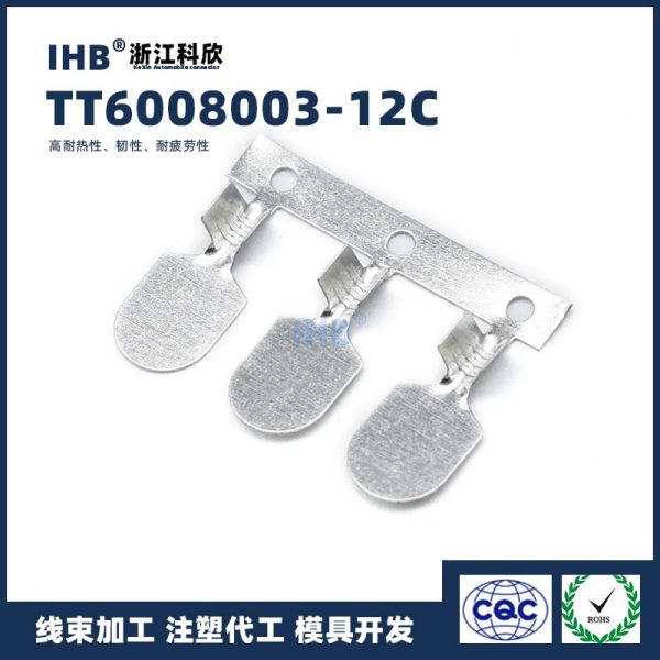 TT6008003-12C